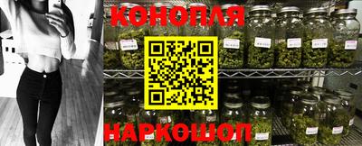 стаф Новодвинск