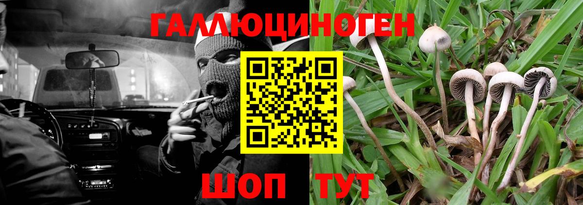 Галлюциногенные грибы MAGIC MUSHROOMS Саранск