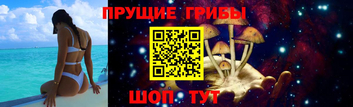 купить наркотик  Вход с VPN  Саранск  Галлюциногенные грибы Cubensis  Галлюциногенные грибы прущие грибы 